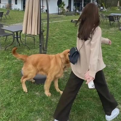 爱情差错觉